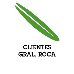 boton-web-clientes-ROCA